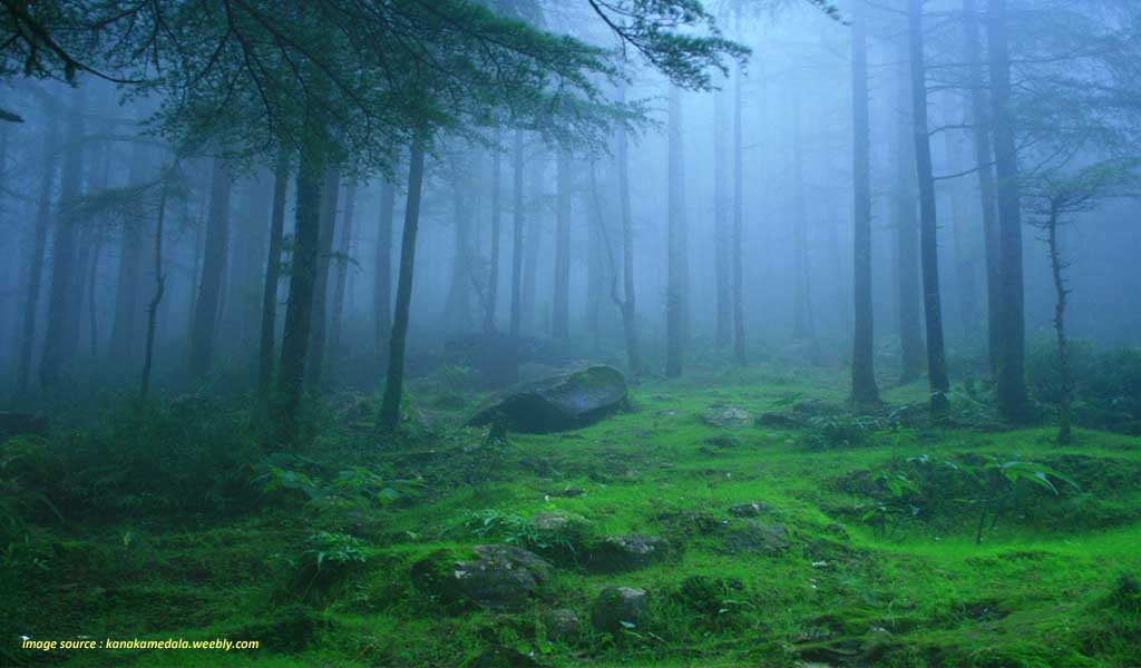 Top 7 Coldest Places In South India Waytoindia
