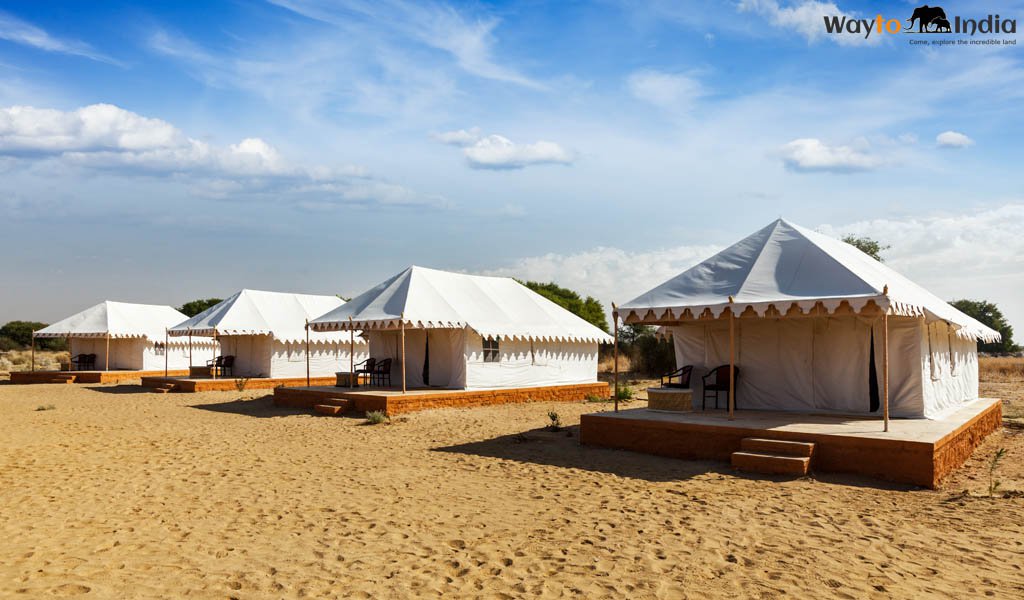 Camp over Sand Dunes at Osian