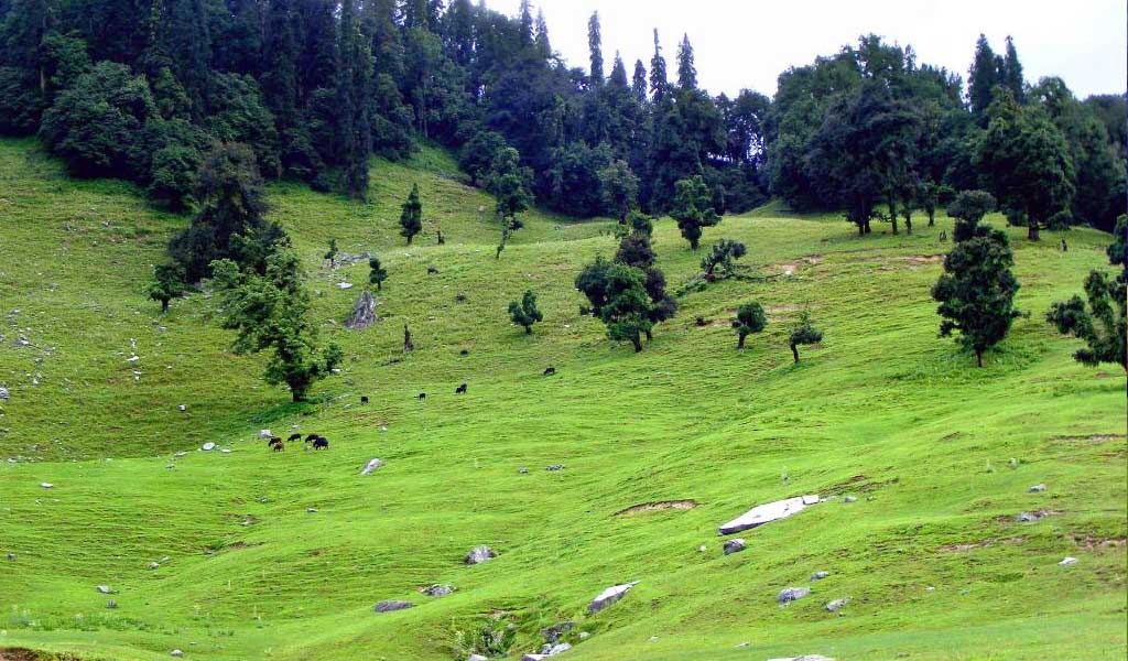 Top 10 Hill Stations In North India : Chopta Uttarakhand