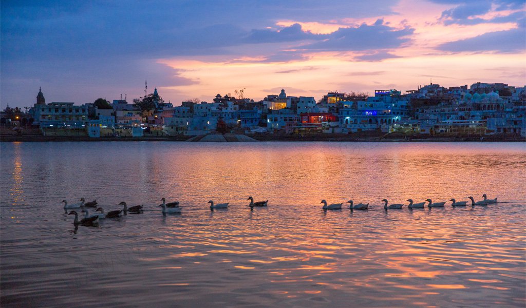 best places to visit in India in January