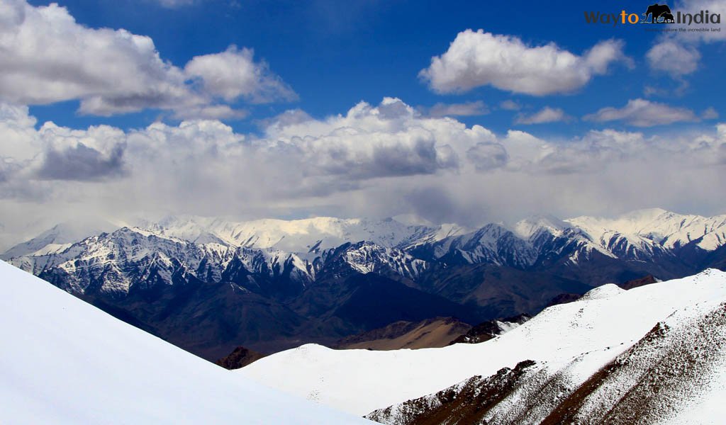 Scale New Heights at Rohtang Pass