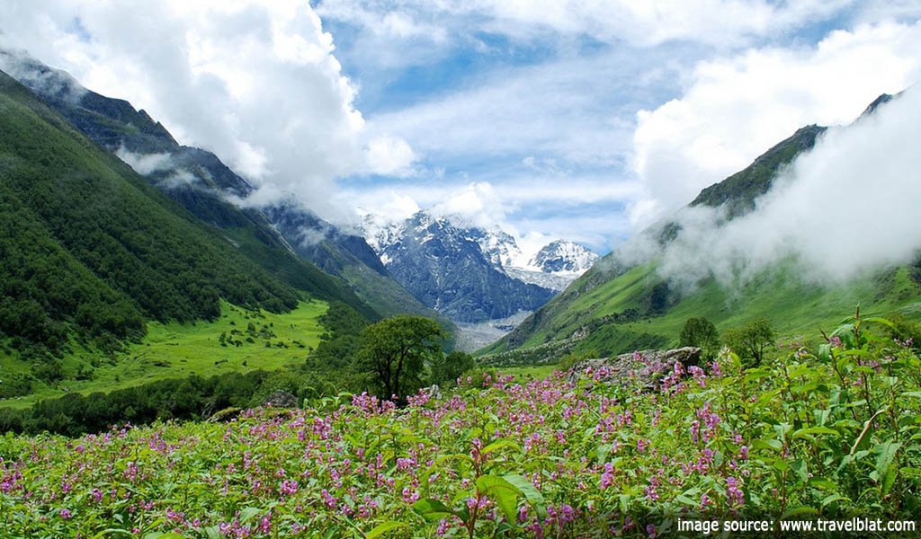 Trek to the Valley of Flowers