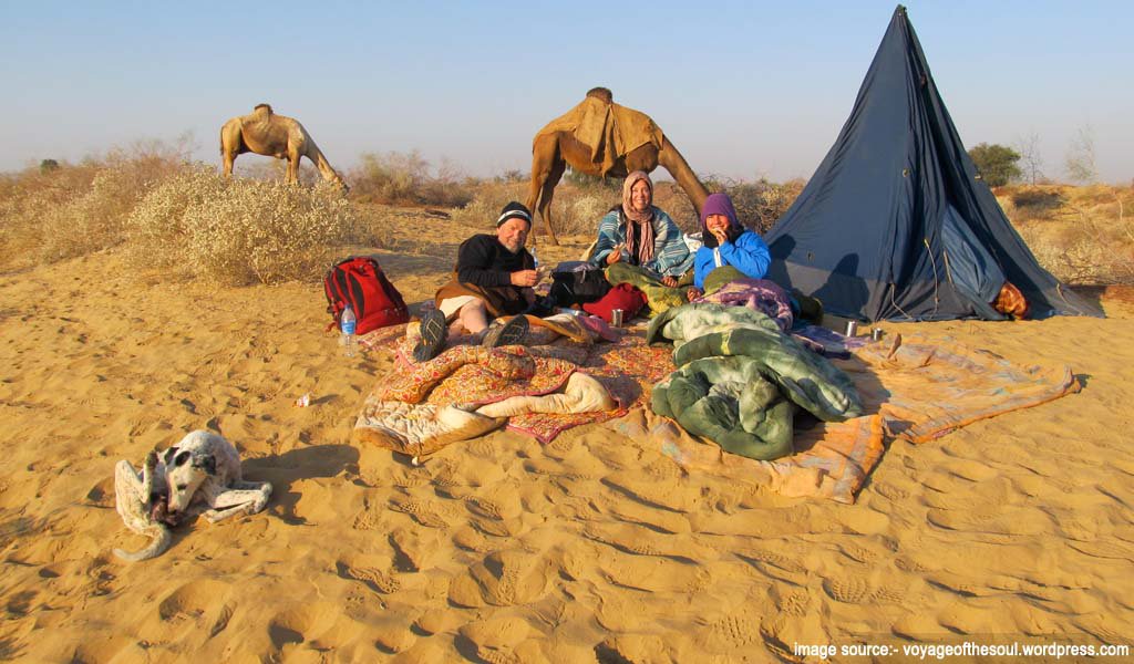 Bikaner rommnace in dunes