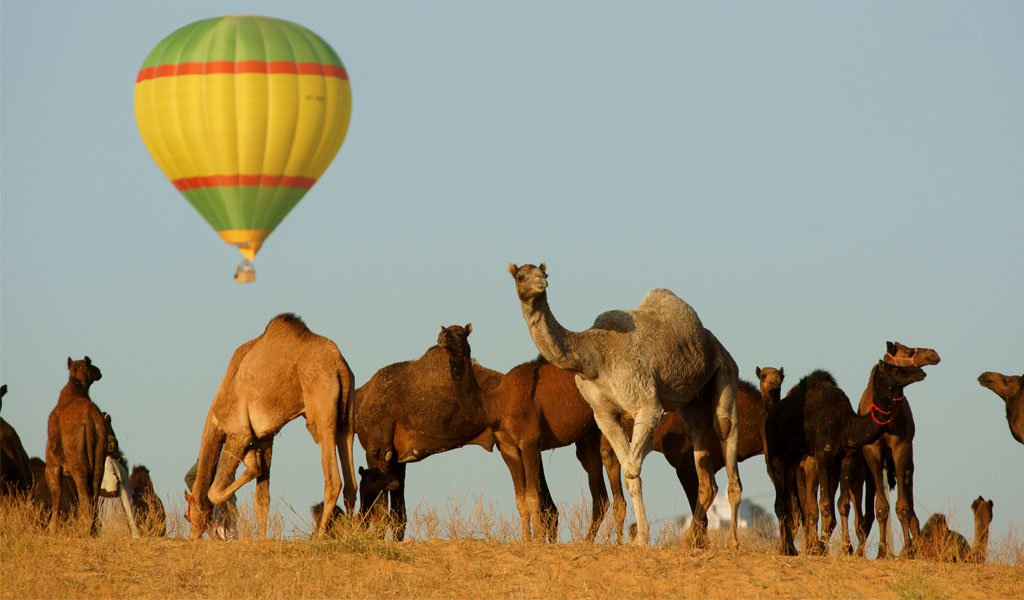 Hot air ballon at Pushkar, Rajasthan