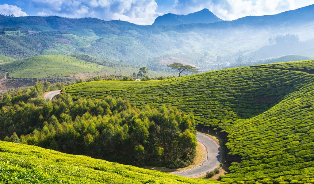 Hill Stations To Visit In South India