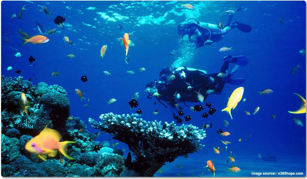 Scuba diving in Lakshadweep