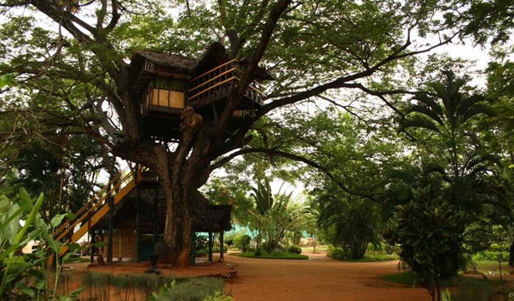 Top 7 Tree House Resorts in India