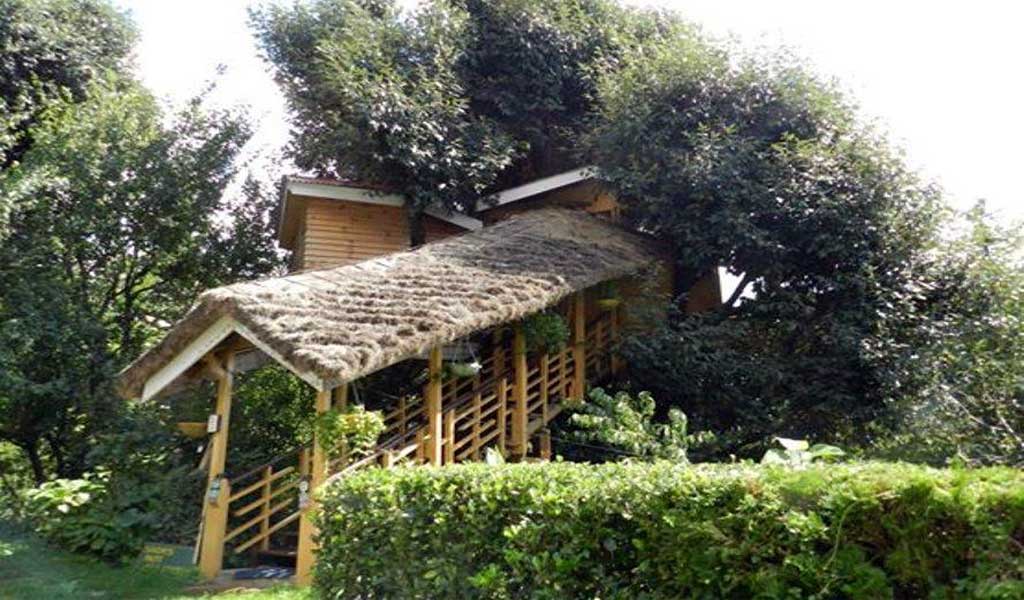 Top 7 Tree House Resorts in India