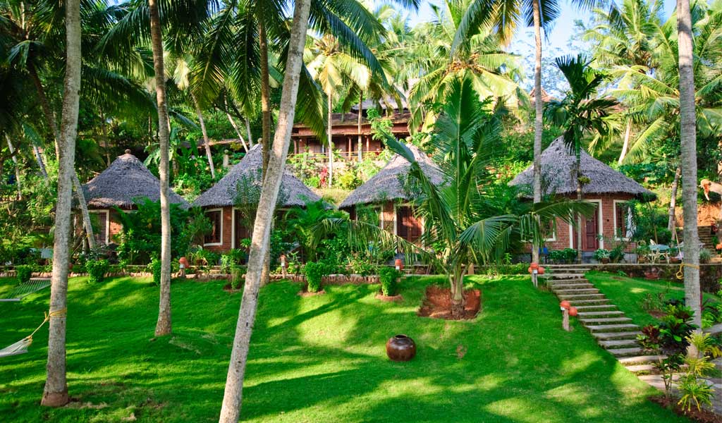 5 Best Ayurvedic Retreats In India