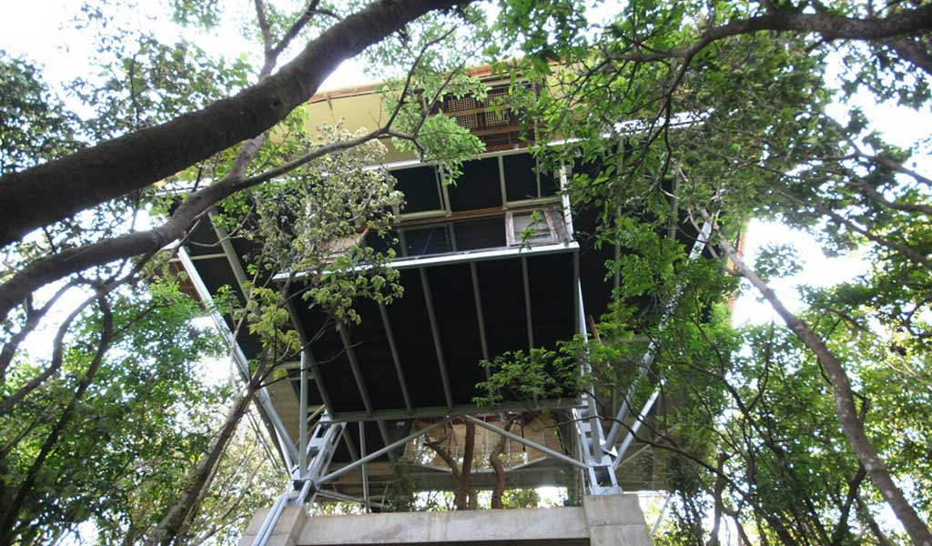 Top 7 Tree House Resorts in India