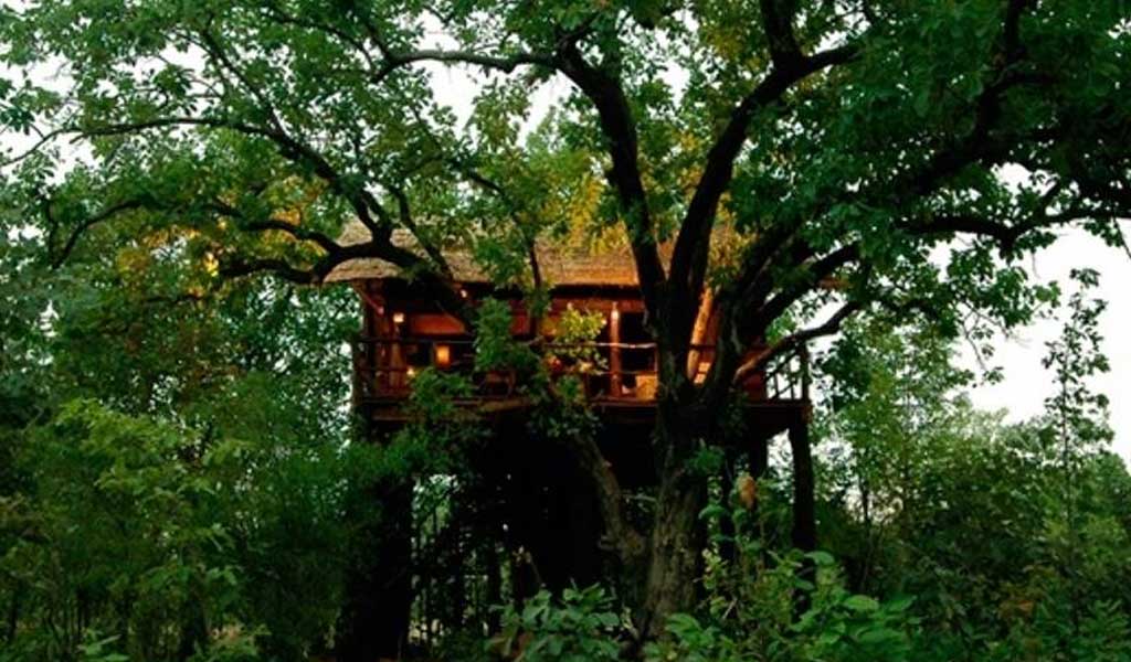 Top 7 Tree House Resorts in India