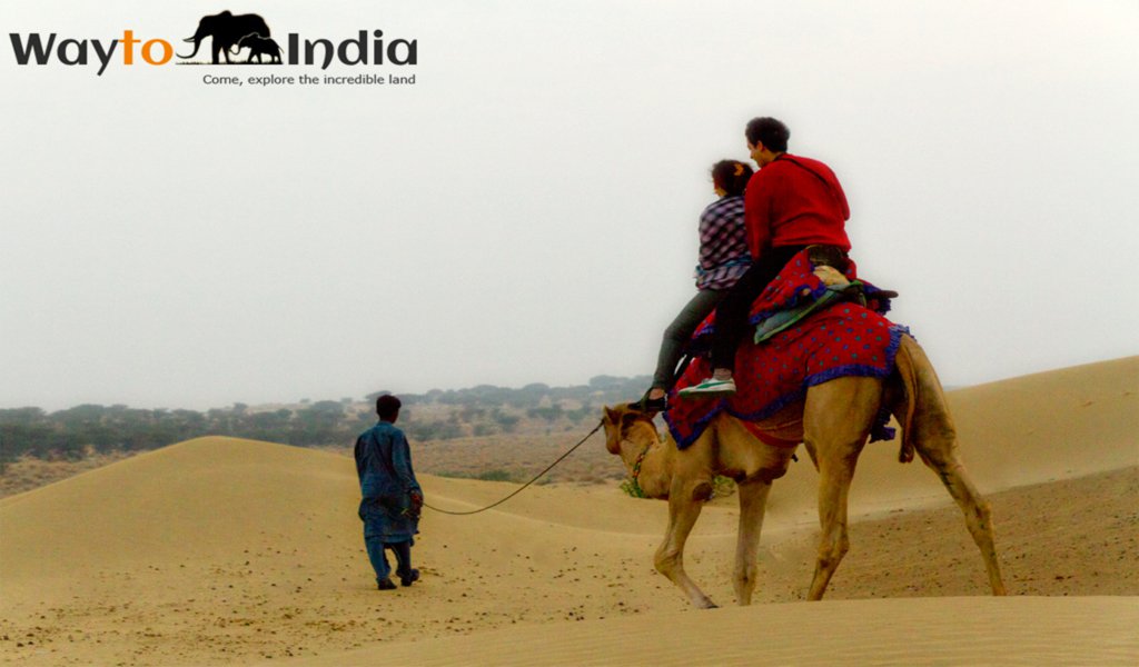 Top Things To Do In Rajasthan