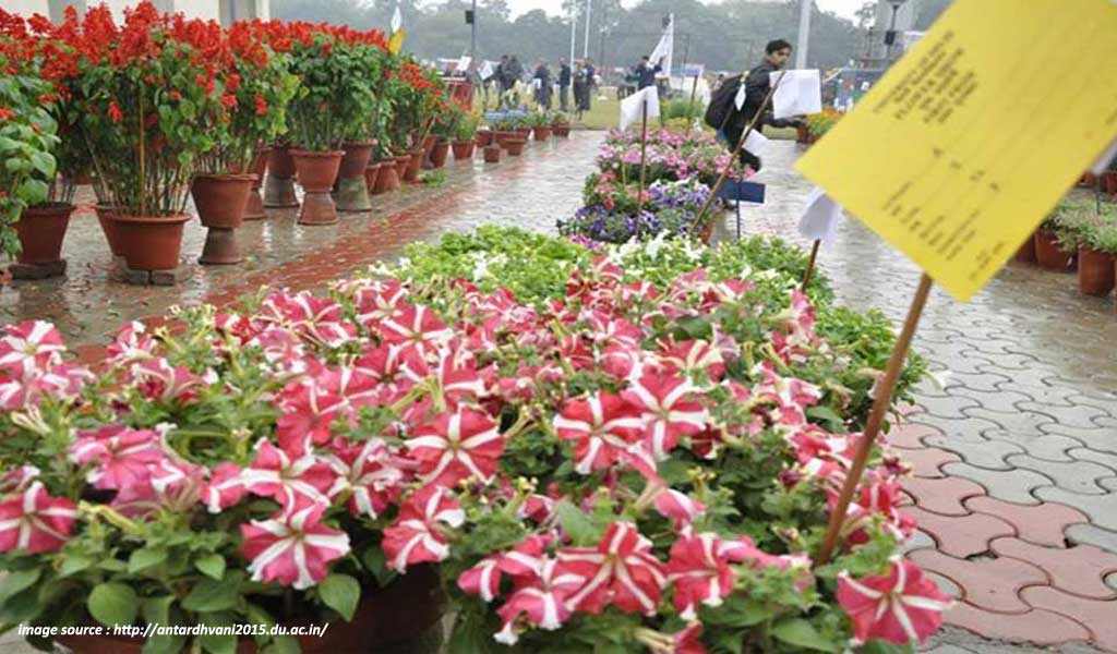 flower shows in india