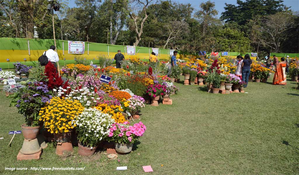 flower shows in india