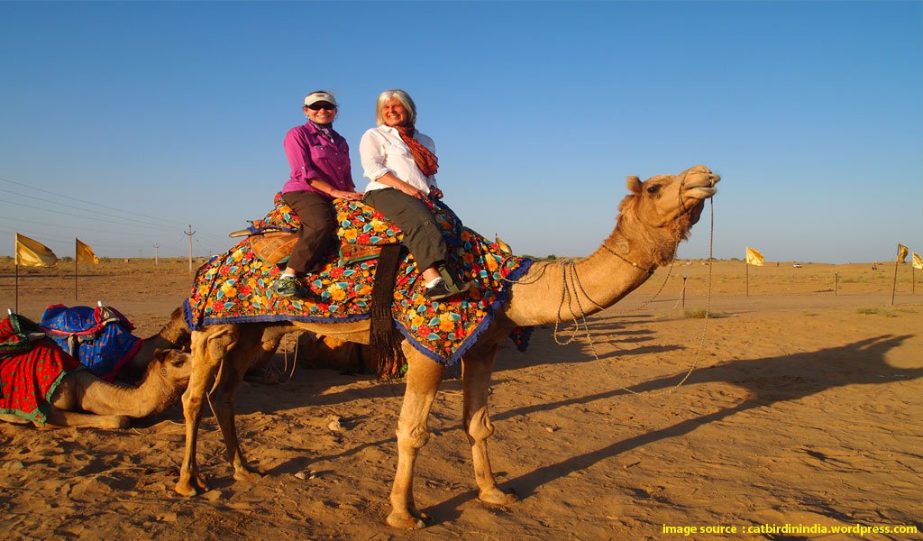 Adventurous things to do in rajasthan