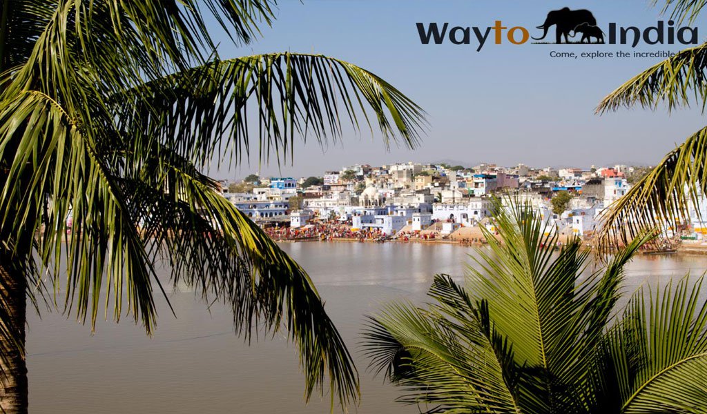 pushkar camel fair