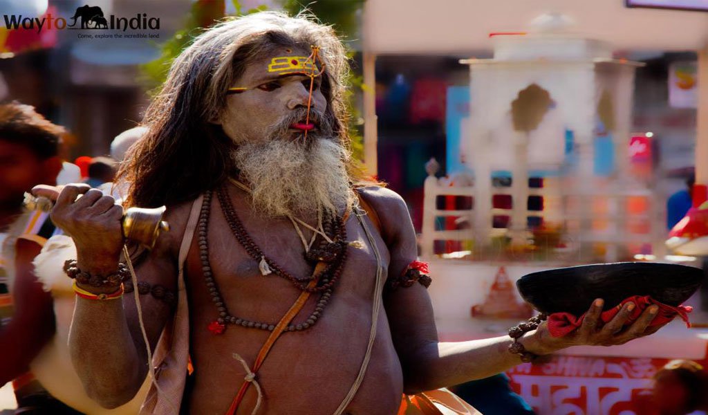 pushkar camel fair