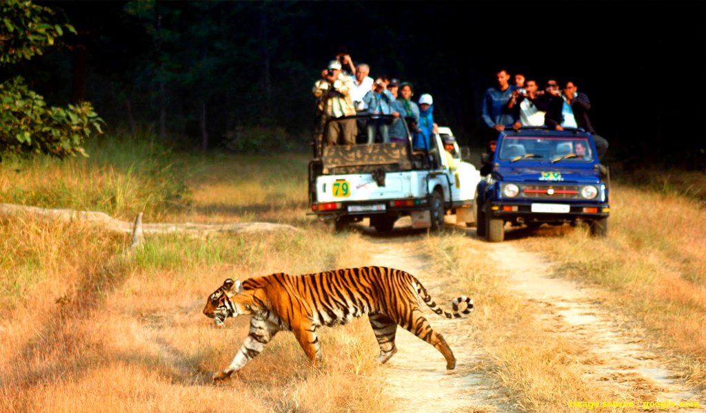 Top National Parks In India