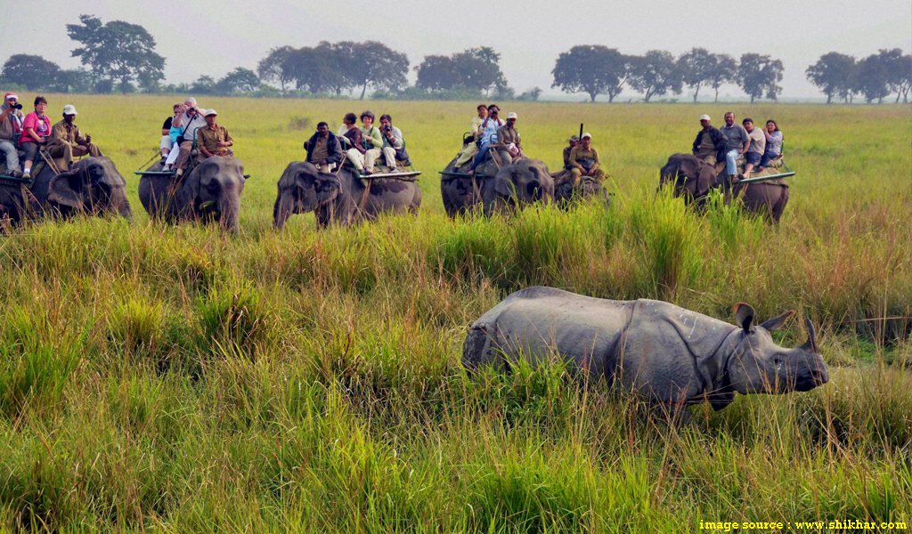 Top National Parks In India