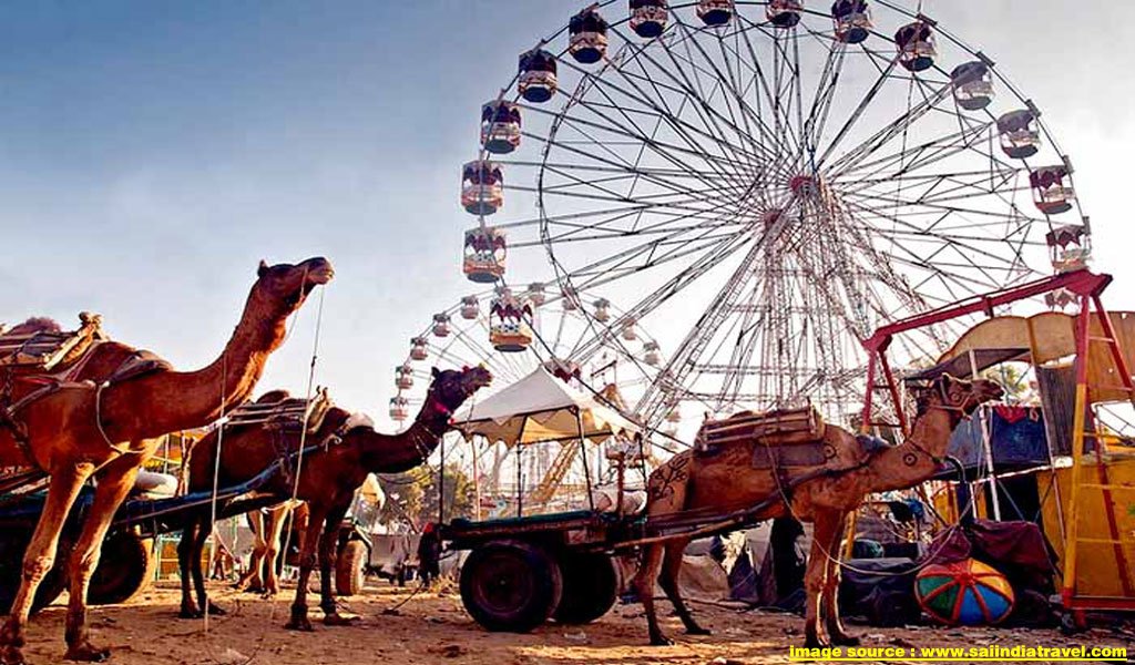 pushkar camel fair