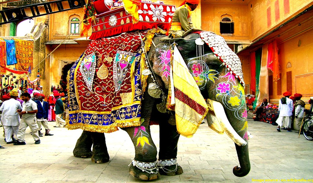 Unusual Things To Do In India