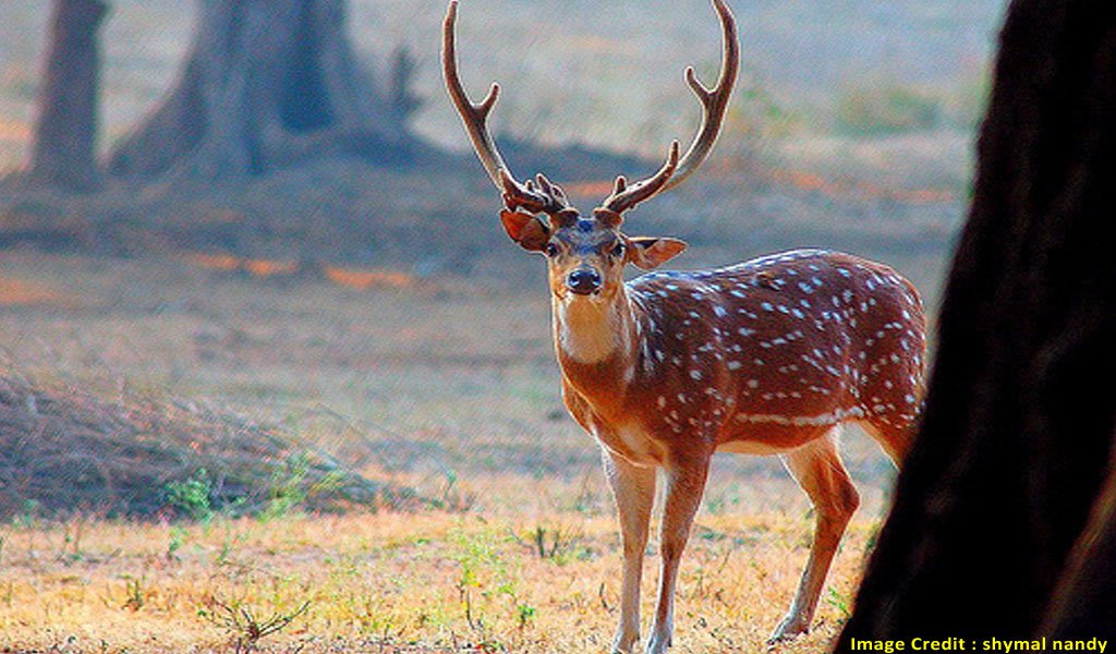 places to visit in jharkhand