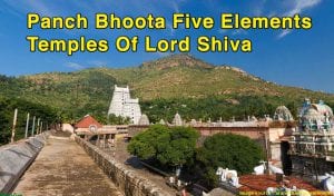 Pancha Bhoota Five Elements