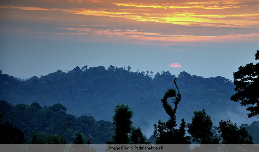 Coorg Kabini Tour Package