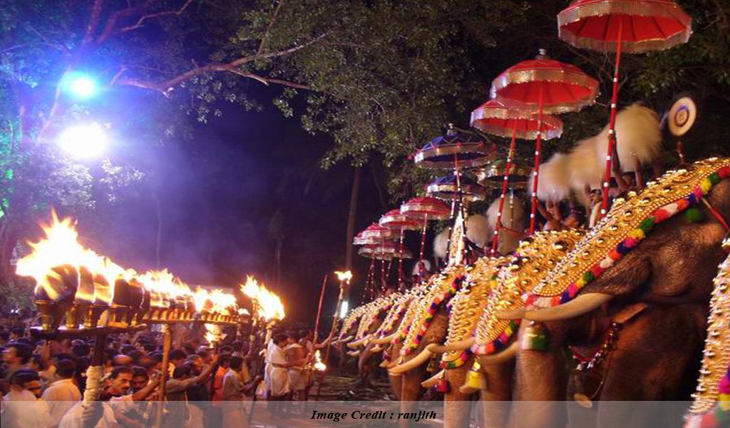 Elephant Festival Thissur : Top Festivals of India