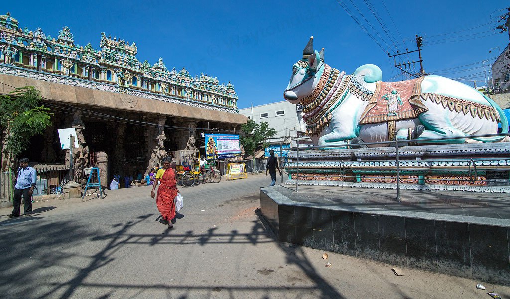 Rameshwaram Tour : Mandi Statue Meenakshi Temple