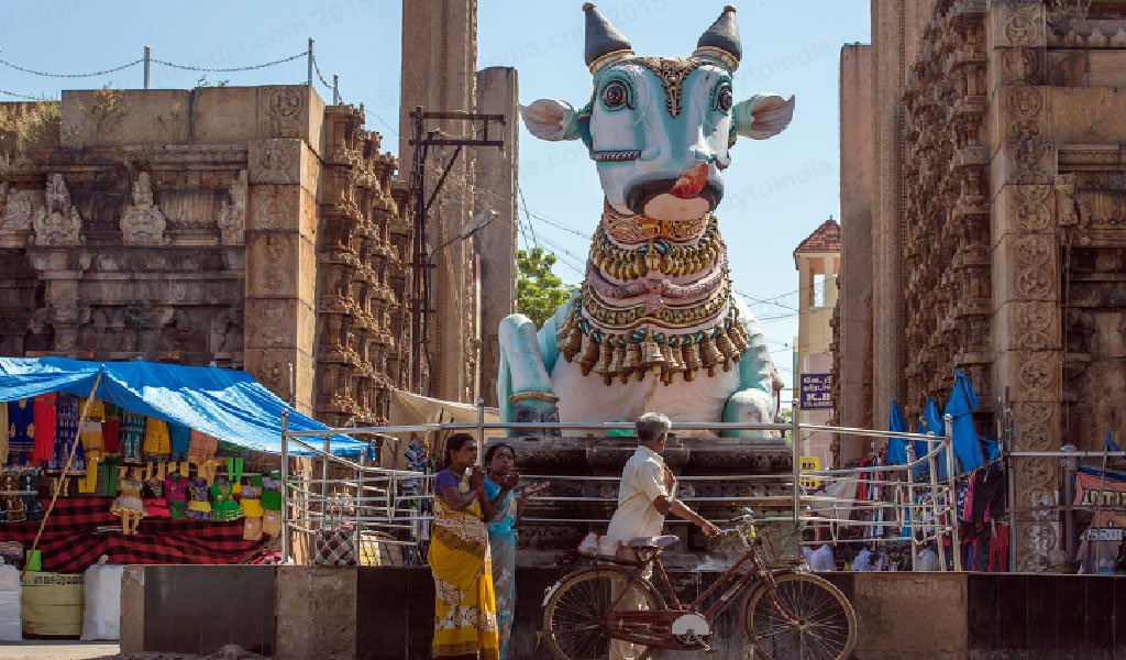 Bull Statue outside Meenakshi Amman Temple