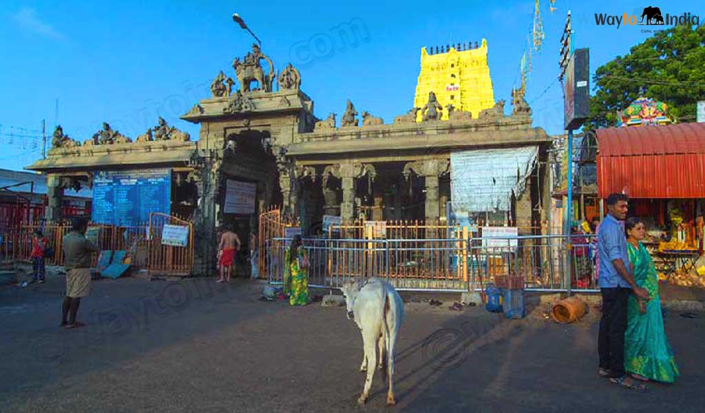 Places to visit in Rameshwaram