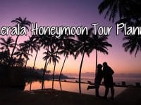 kerala honeymoon tour