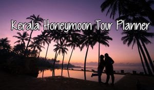 kerala honeymoon tour