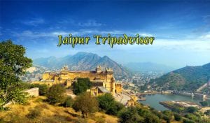 Jaipur Tripadvisor