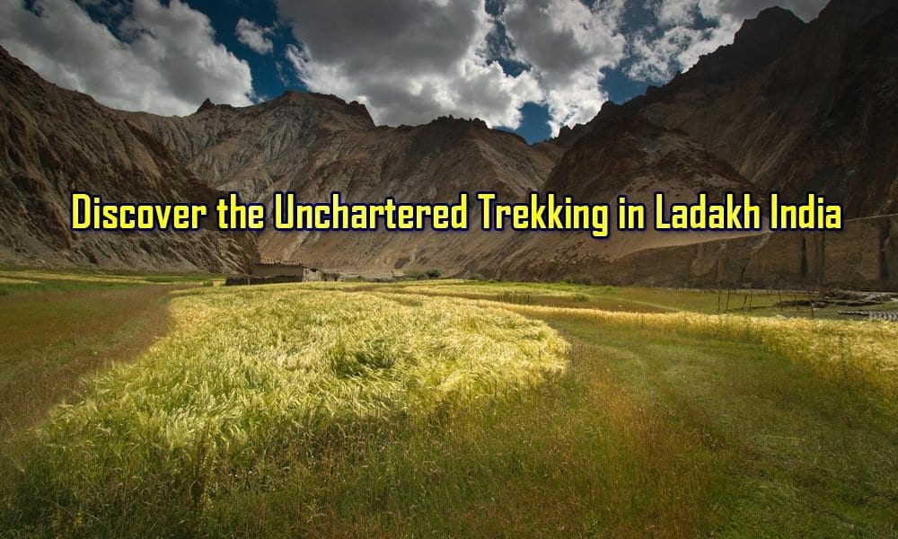 Trekking In Ladakh India