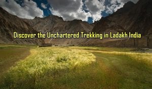 Trekking In Ladakh India