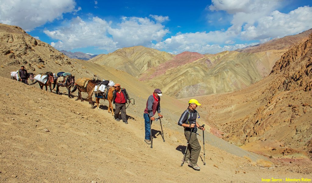 trekking in ladakh india