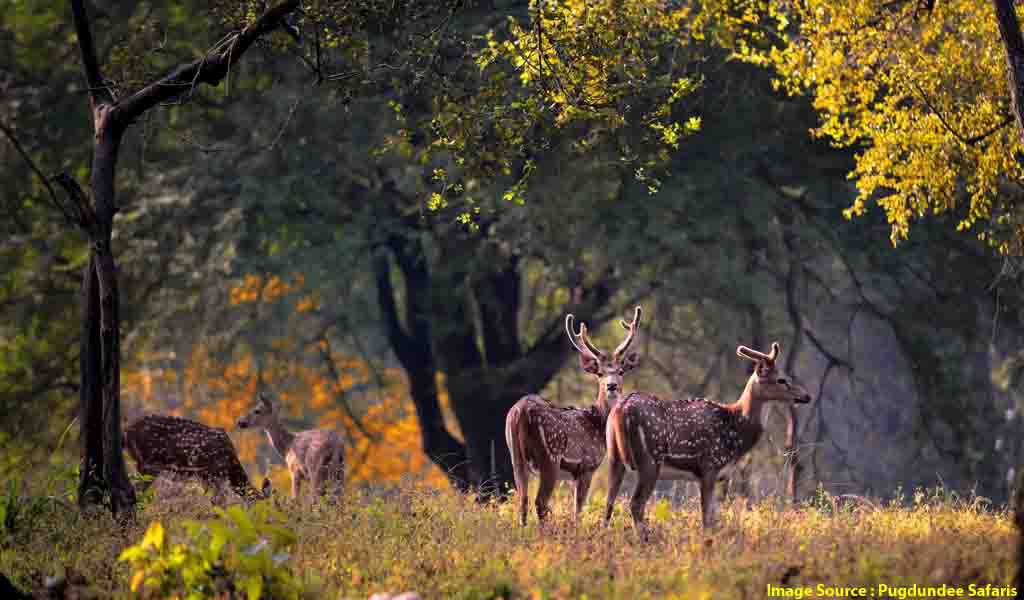 Tourist Places In Madhya Pradesh