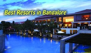 www.palmmeadowsclub