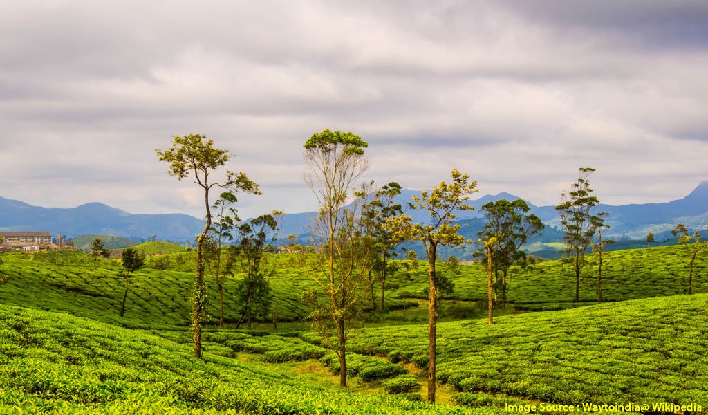 Hill Stations In Tamilnadu