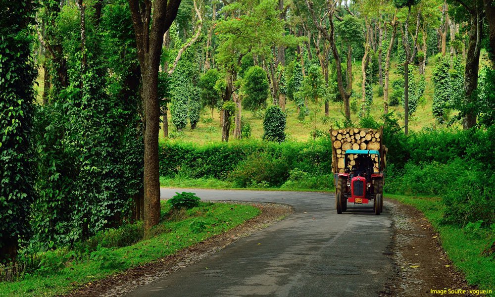 honeymoon places in south india : Coorg