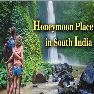 Travel Information Services