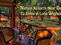 Nature Resorts Near Delhi To Enjoy A Long Weekend