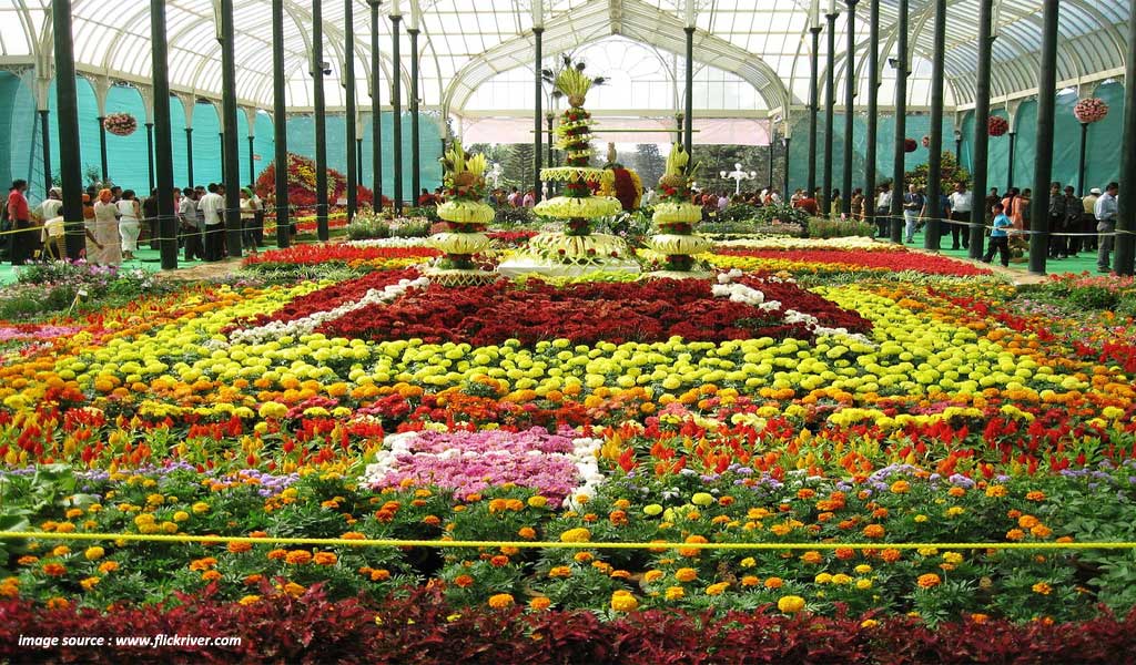 #1. The Lalbagh Flower Show - Bangalore. 