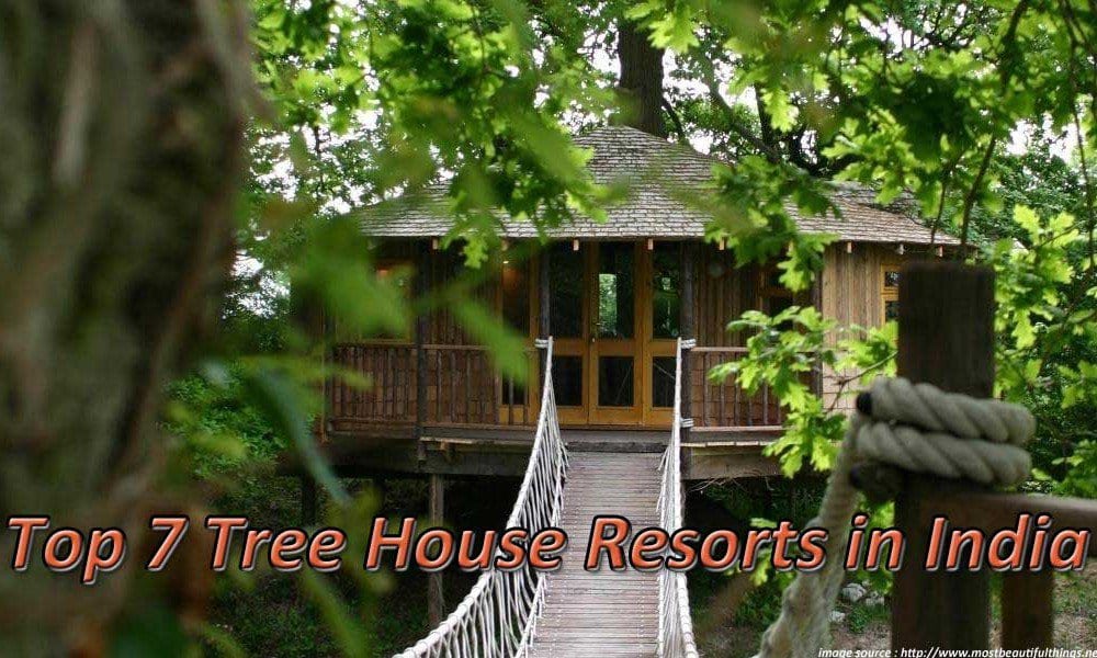 Top 7 Tree House Resorts in India