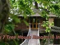 Top 7 Tree House Resorts in India