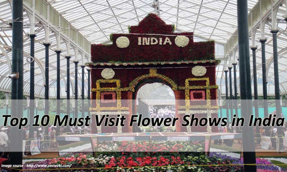 Top 10 Must Visit Flower Shows in India