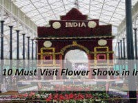 Top 10 Must Visit Flower Shows in India