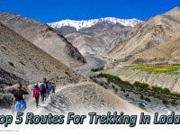 Trekking in Ladakh